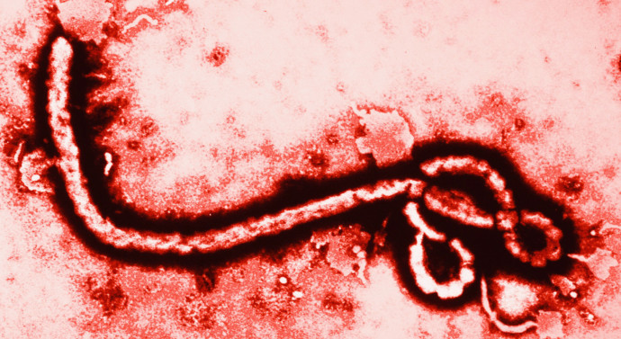 Ebola