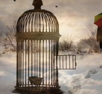 Eric-Emmanuel Schmitt