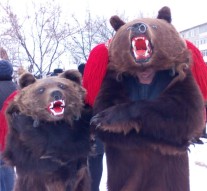 Vedete cu blană din Comănești