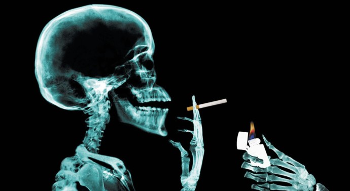 Vîrcolaci prinși în labirint