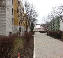 Dragoste de Maramureș, cu rădăcini la Iași