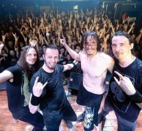 Furnicile se hrănesc cu muzică electro