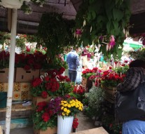 Negustorii tarabelor cu prospețime