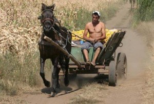 Membrii comunității din capătul satului au fost văzuți cu bănci și motoare ale unor mașini de cusut care au fost declarate furate.