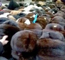 Căciuli pentru boieri și boierițe