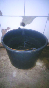 Oamenii își fac proviziile de tărie pentru tot anul într-o singură tură.