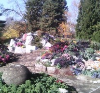 Crizantemele și dovlecii au invadat Grădina Botanică