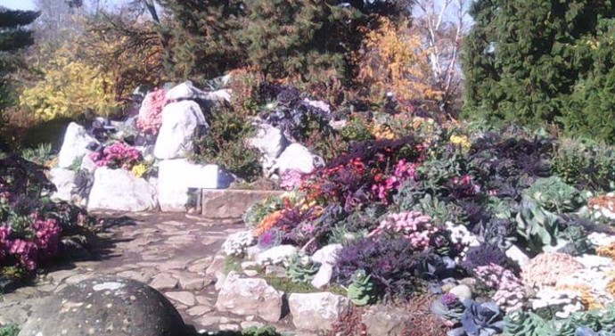 Crizantemele și dovlecii au invadat Grădina Botanică