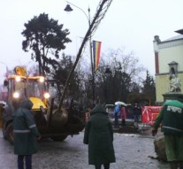 Nu e vorba doar despre tei