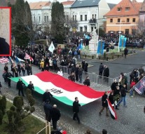 Ungurul, petarda și serviciile