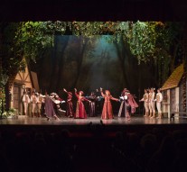 Declara]ii f\r\ cuvinte