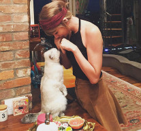 O zgîrietură de milioane