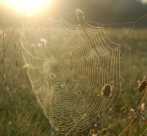 Timpul agățat de-o pînză
