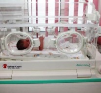 Vieți începute în incubator