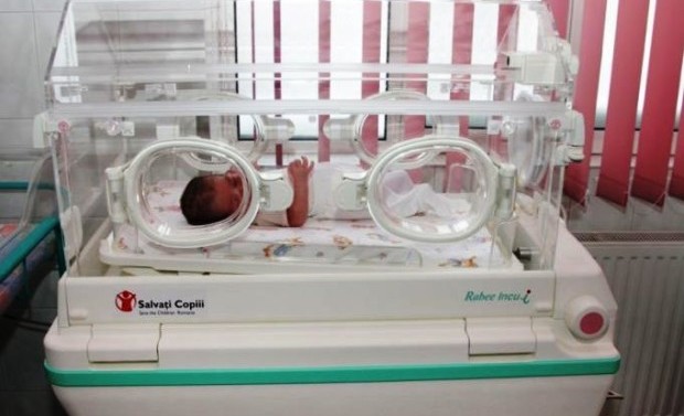 Vieți începute în incubator