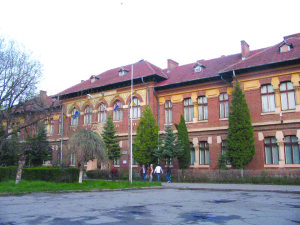 Profesorul a învățat la Colegiul Național Roman-Vodă,  iar mai apoi, a trecut în spatele catedrei.