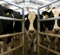 În Agronomie, laptele se mulge de la dozator