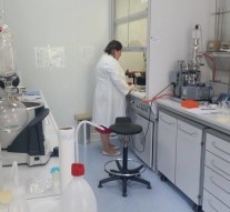 Voluntariatul, scurtătura de la bursă la salariu.