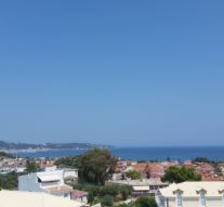 Broaștele țestoase uriașe înoată pe manele