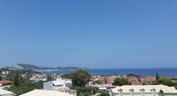 Broaștele țestoase uriașe înoată pe manele