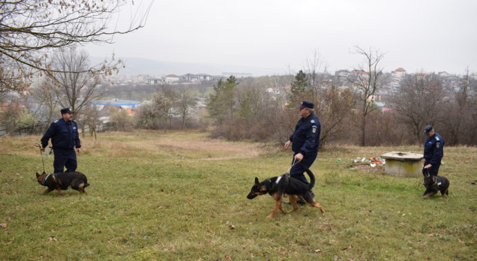 Agenți de rasă 007