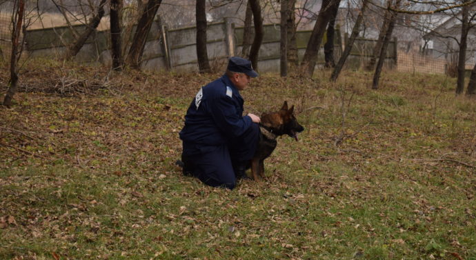 Agenți de rasă 007