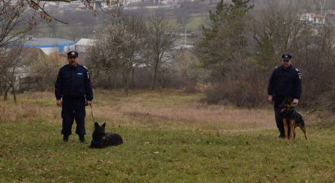 Agenți de rasă 007