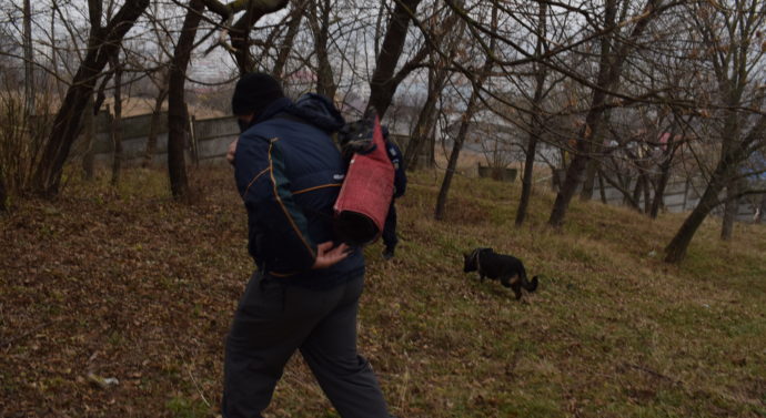 Agenți de rasă 007