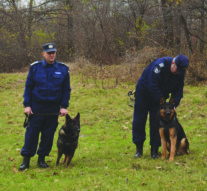 Agenți de rasă 007