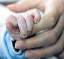 Sînge din sîngele meu