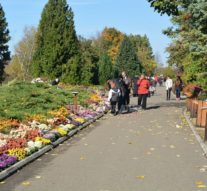 Etichetă de vin, creată de studenți ieșeni