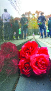 Veterani vietnam memorial