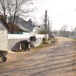 Parada gîștelor de sub arcul de coceni