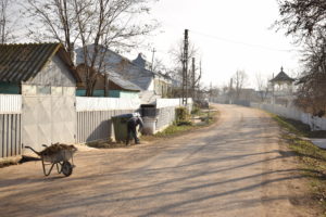 Parada gîștelor de sub arcul de coceni