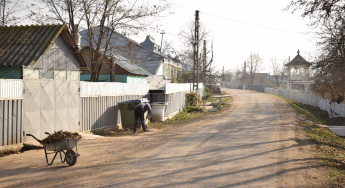 Parada gîștelor de sub arcul de coceni