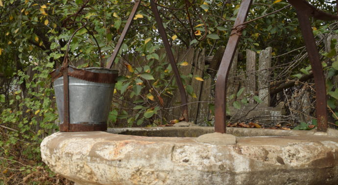 Parada gîștelor de sub arcul de coceni