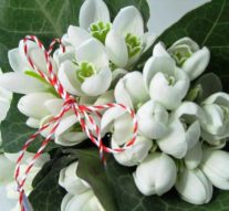 Cu o floare nu se face primăvară