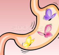 Fluturii mei metaforici