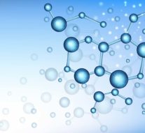 Fericirea, o comandă venită de la creier