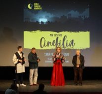 Pînze albe pictate-n galben de filme românești