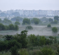 Delta dintre blocuri