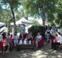 Aventurile poeţaşilor din grădina Pogor