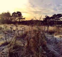 Piesele se cîntă sub acoperire