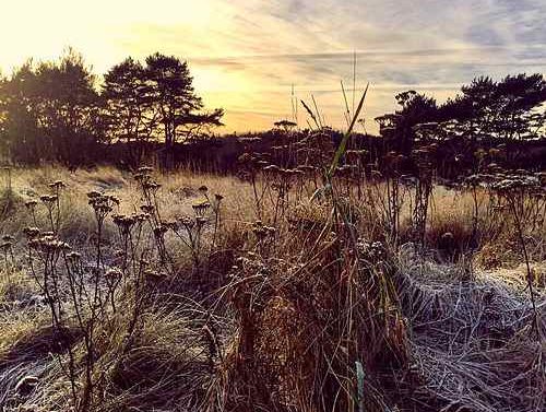Piesele se cîntă sub acoperire