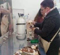 Transformarea în dr. Dolittle durează șase ani