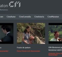 Memorialul sesizărilor