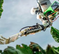 Robocop va culege conopidă