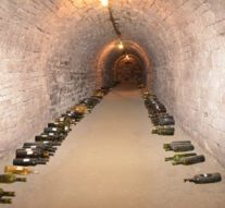 Povețele lui Kogălniceanu fermentează în Copou