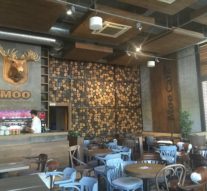 Elanul Moo, pofticiosul din parc