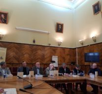 Viziunea lui Virgil Nemoianu asupra „grădinii filosofice”